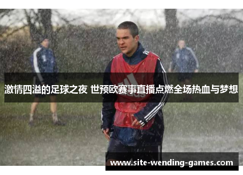 激情四溢的足球之夜 世预欧赛事直播点燃全场热血与梦想