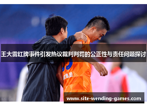 王大雷红牌事件引发热议裁判判罚的公正性与责任问题探讨