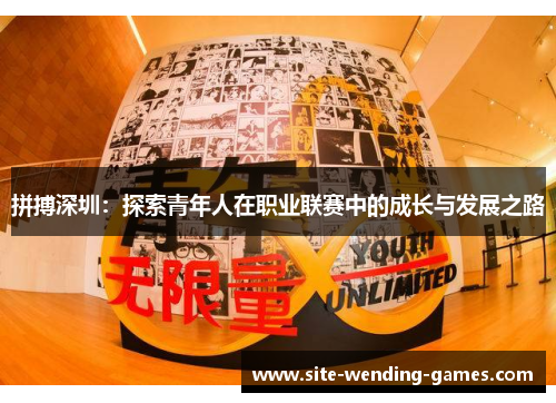 拼搏深圳：探索青年人在职业联赛中的成长与发展之路