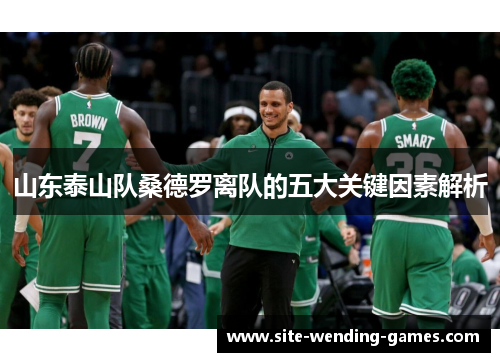 山东泰山队桑德罗离队的五大关键因素解析