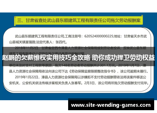 赵鹏的欠薪维权实用技巧全攻略 助你成功捍卫劳动权益
