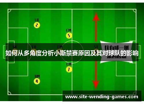 如何从多角度分析小斯禁赛原因及其对球队的影响