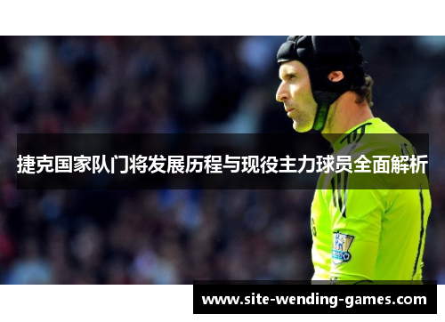 捷克国家队门将发展历程与现役主力球员全面解析